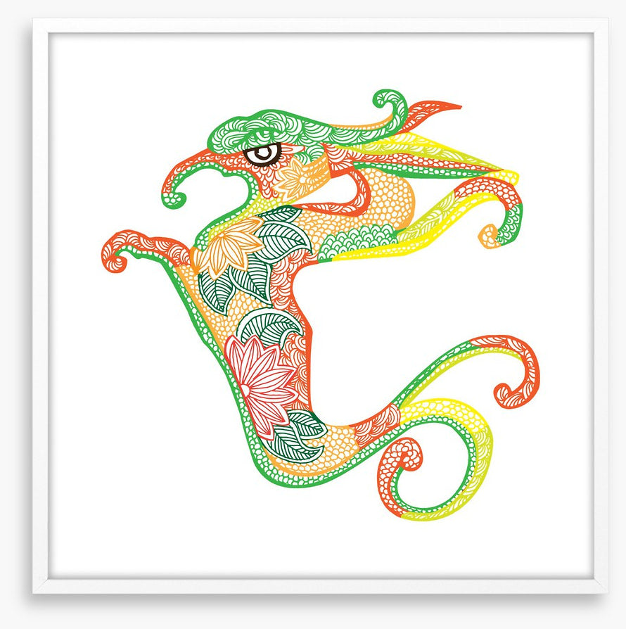 Dragons