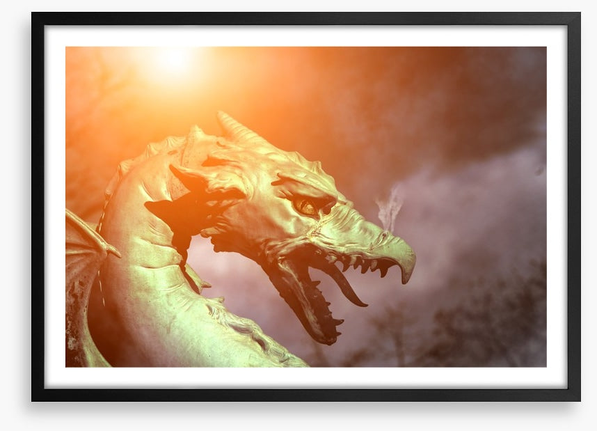 Dragons