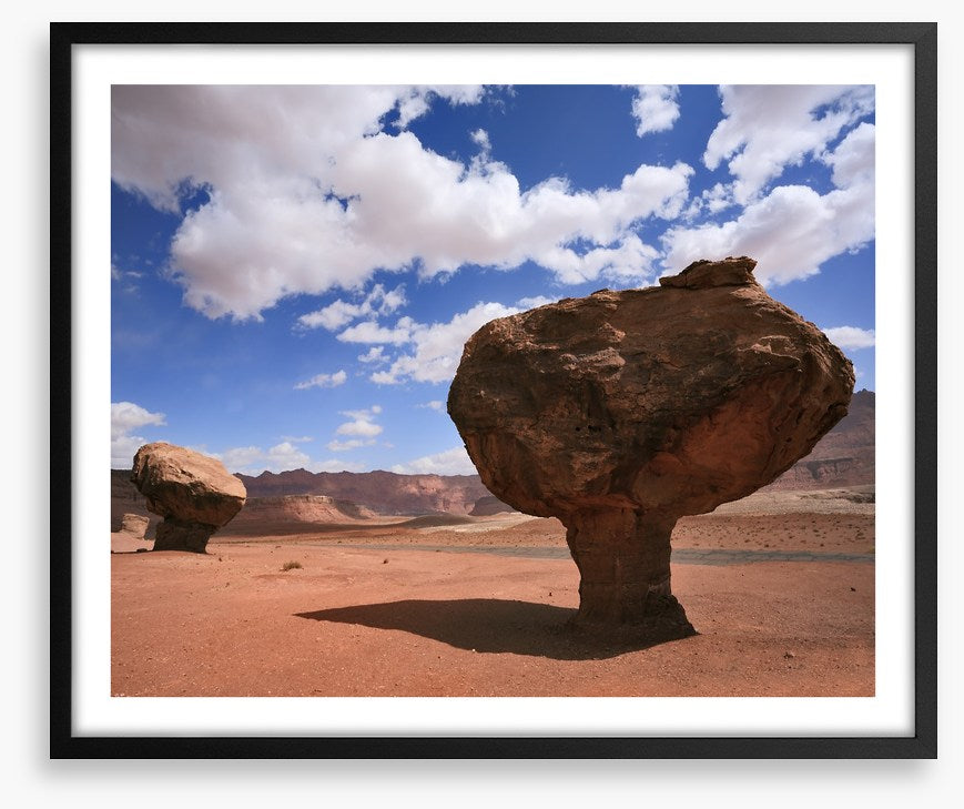 Desert