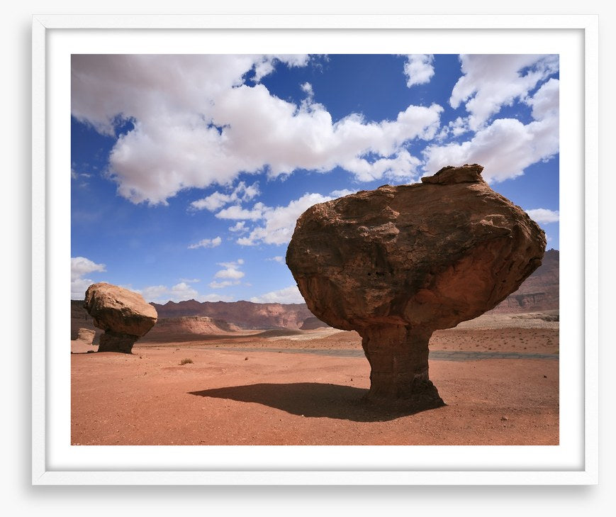 Desert