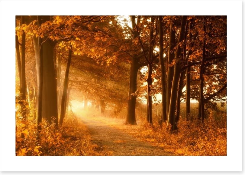 Autumn