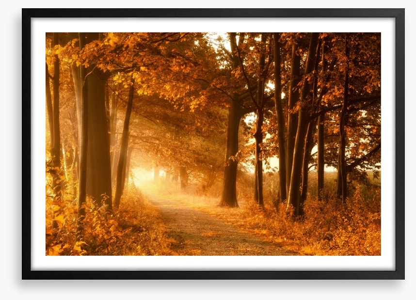 Autumn