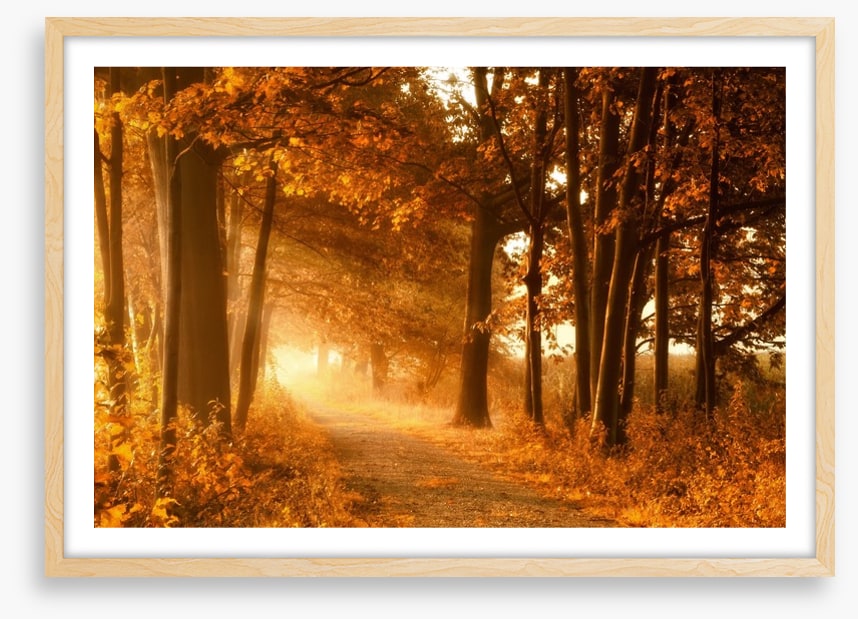 Autumn