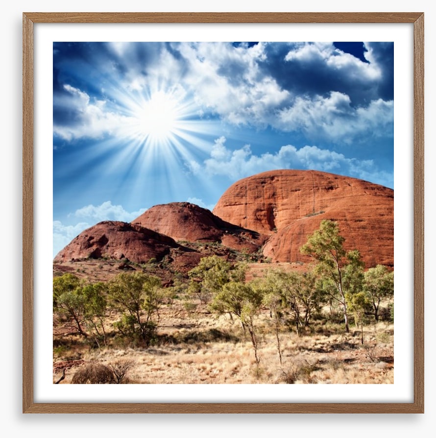 Under the shimmering sun