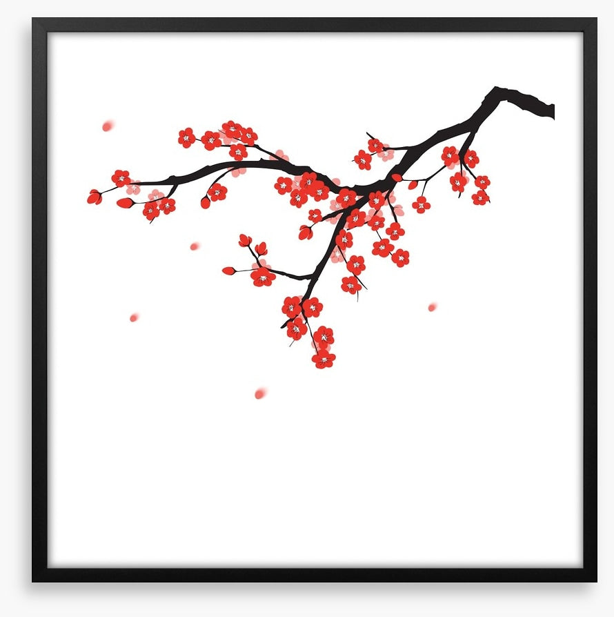 Plum blossoming
