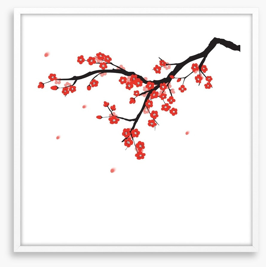 Plum blossoming