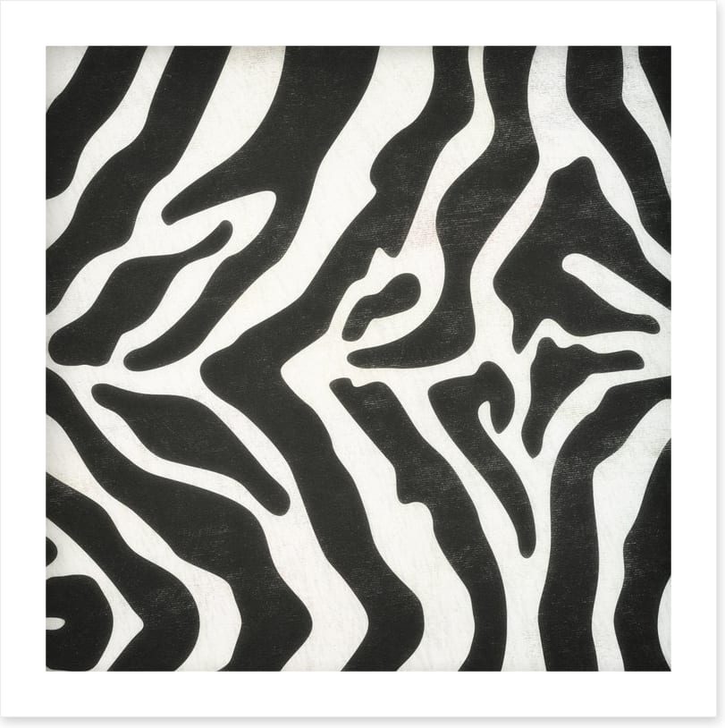 Animal Print