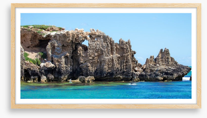 Penguin Island panorama