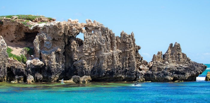 Penguin Island panorama