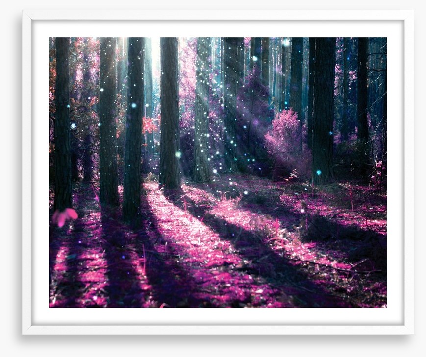 Deep in the magical forest