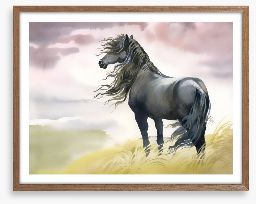 Black horse in the breeze