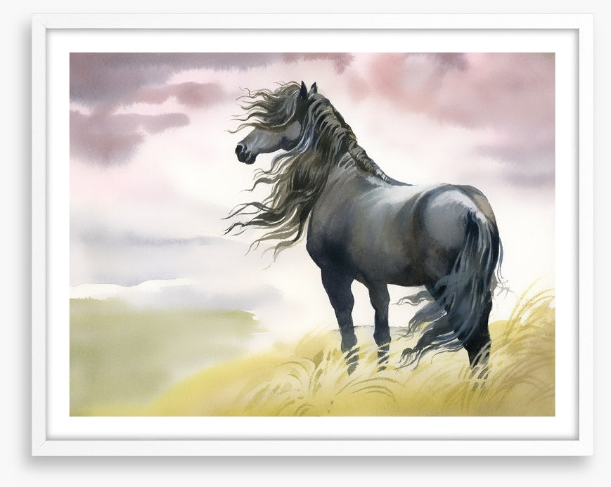 Black horse in the breeze