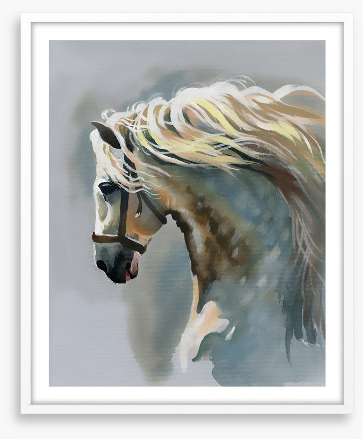 Canter