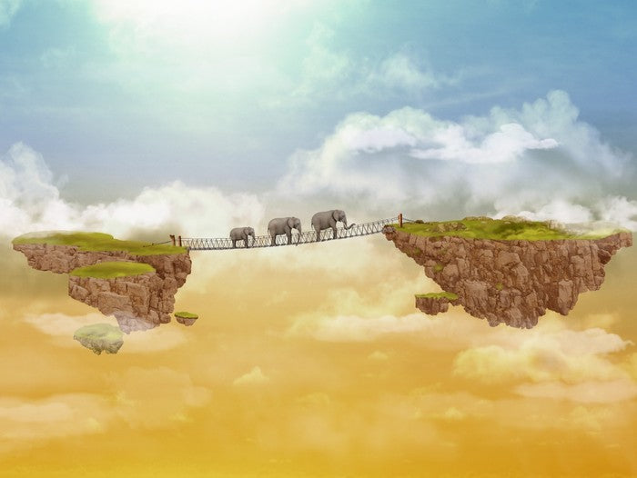 Elephants crossing