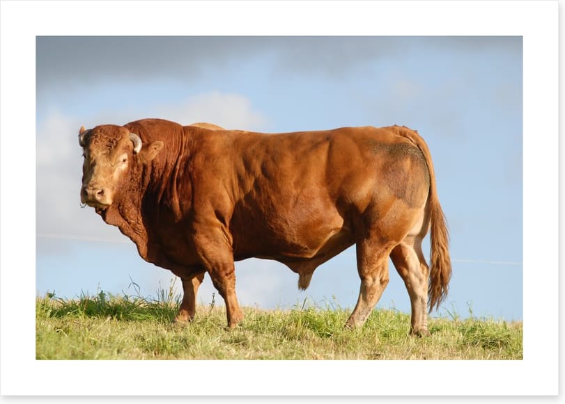 Agriculture