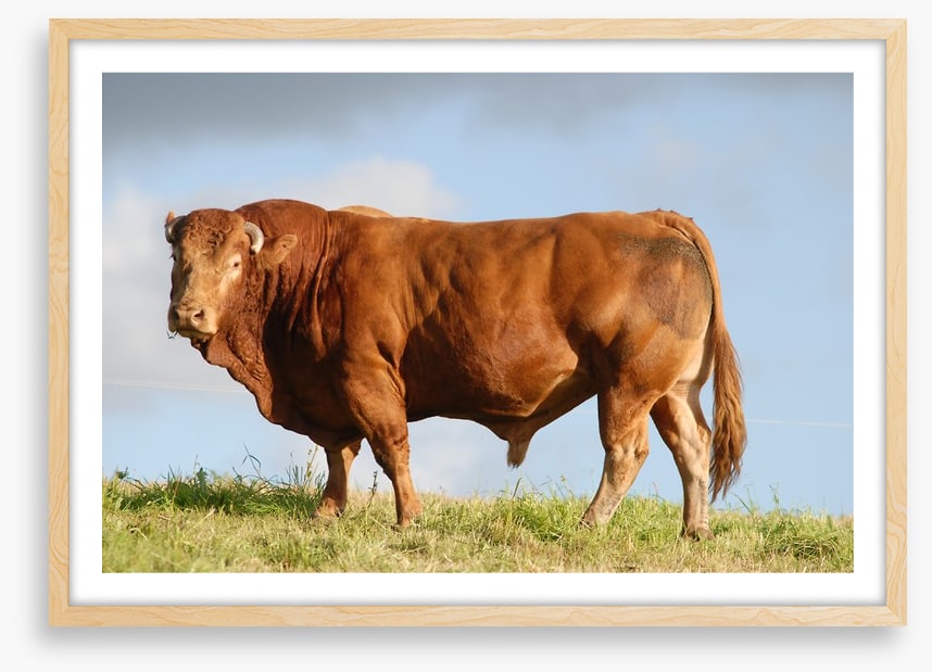 Agriculture