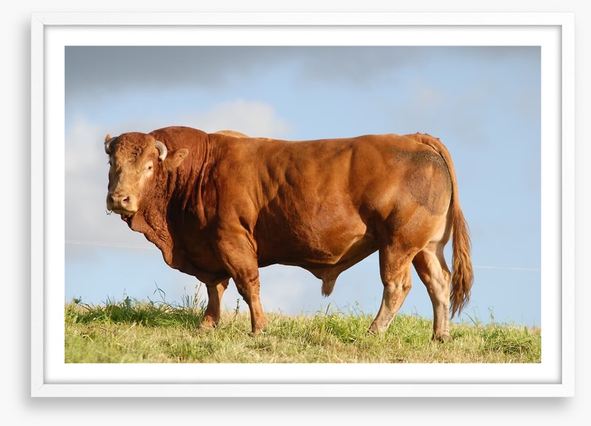 Agriculture