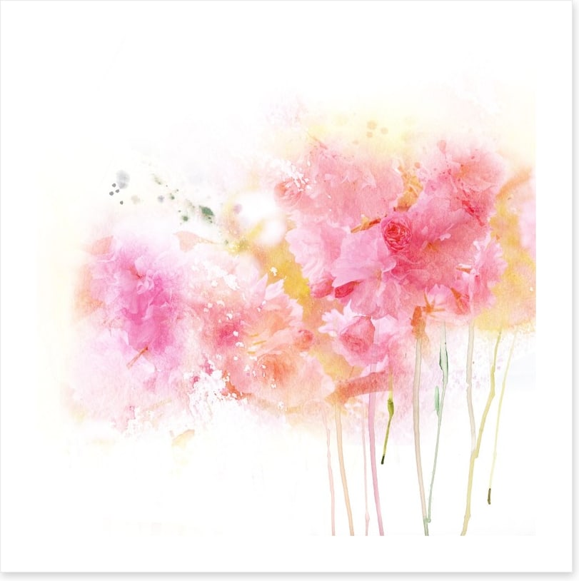 Watercolour carnations