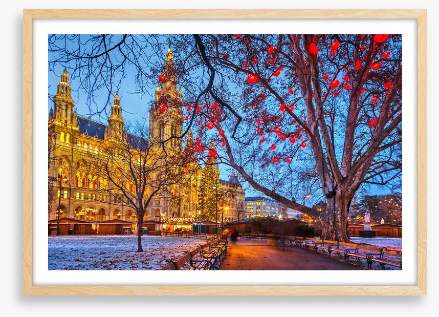 Vienna town hall