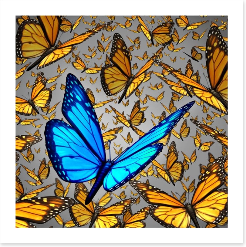 Lord of the butterflies