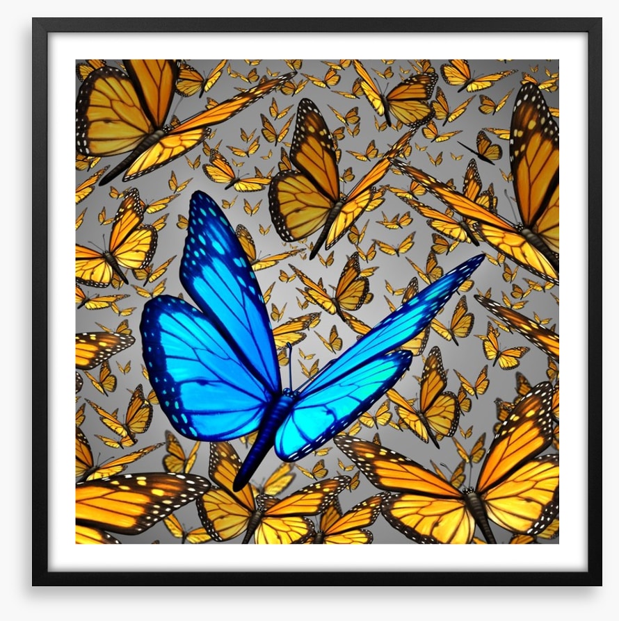 Lord of the butterflies