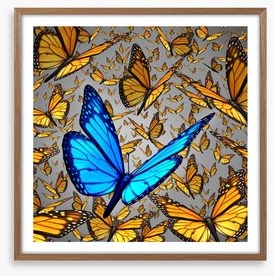 Lord of the butterflies