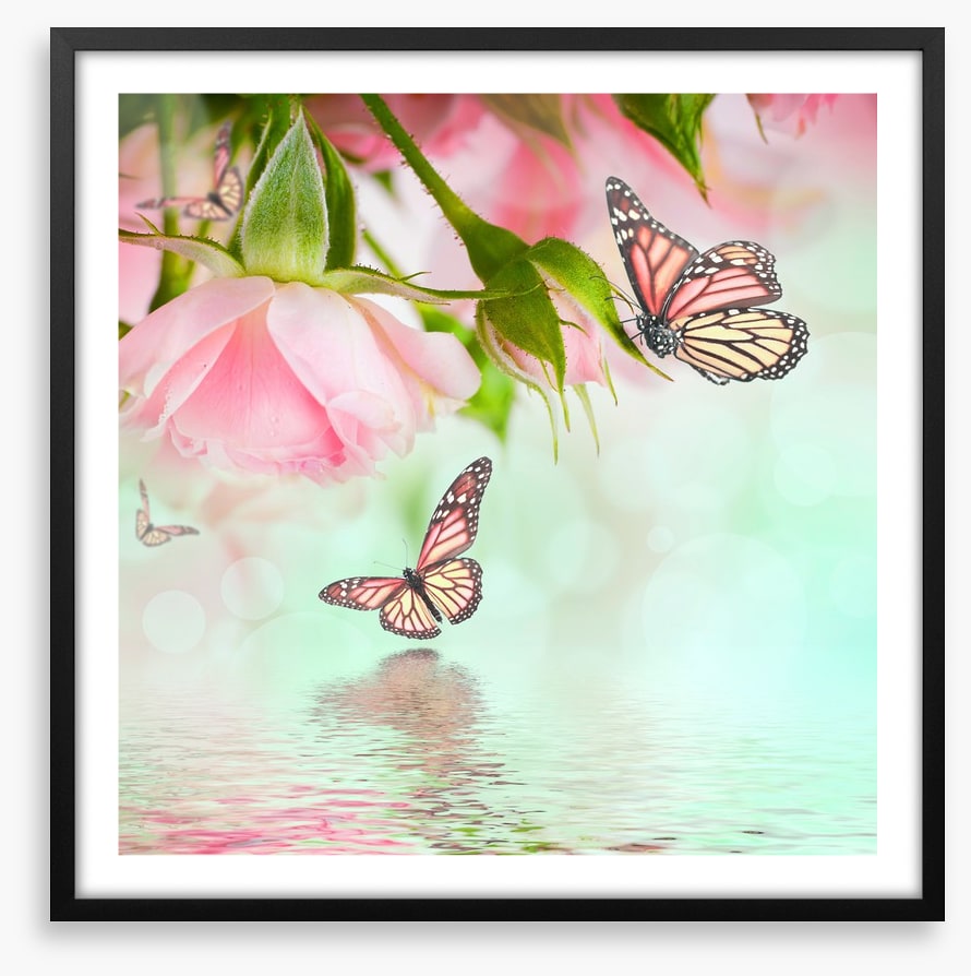 Butterflies and roses