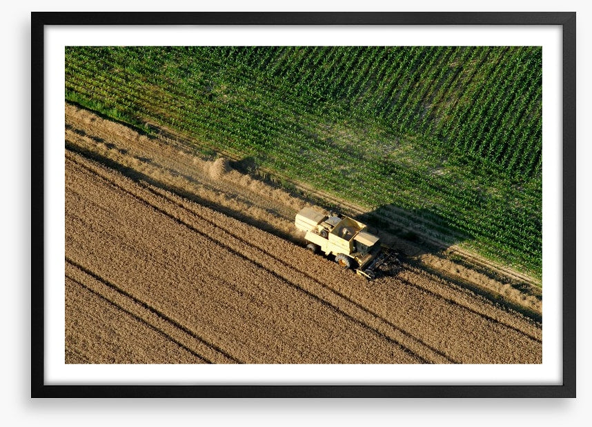 Agriculture