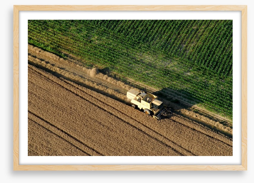 Agriculture
