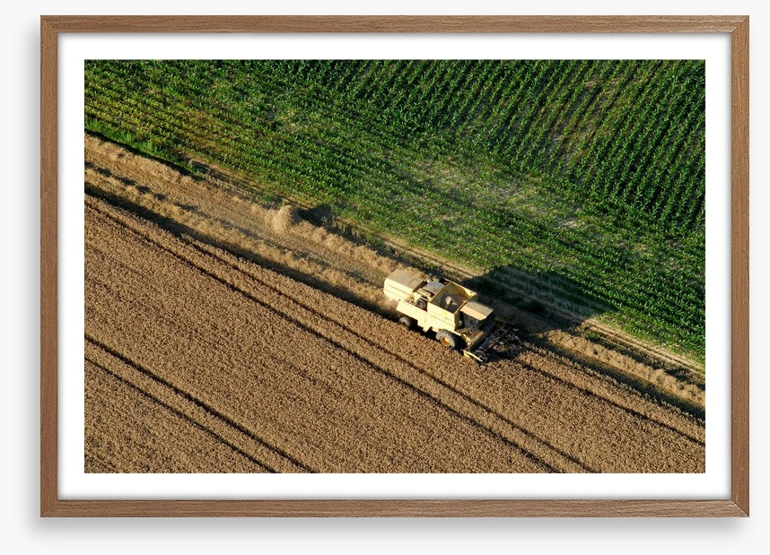 Agriculture