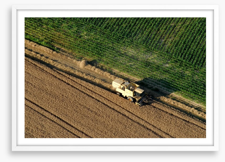Agriculture