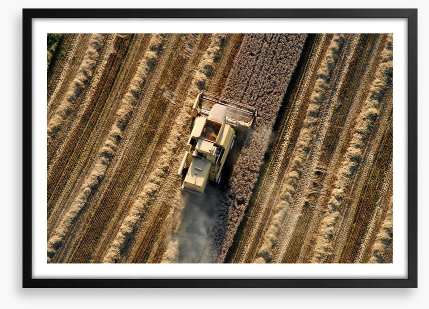 Agriculture