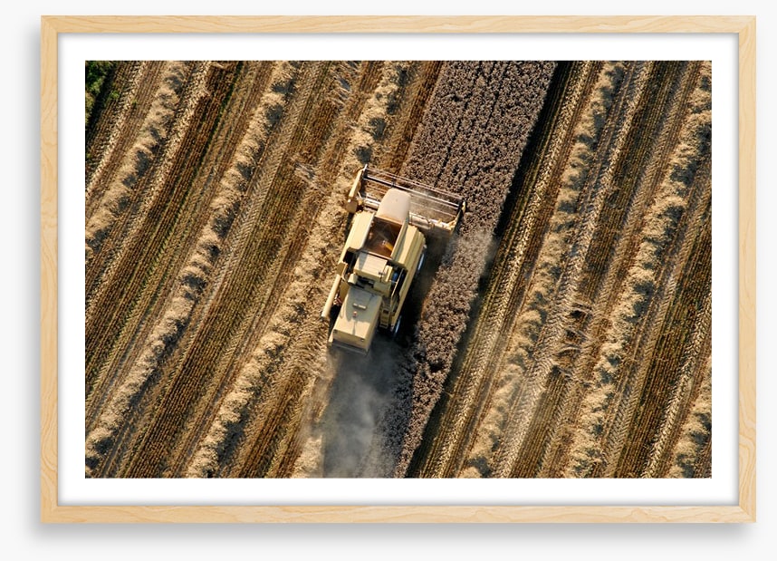 Agriculture