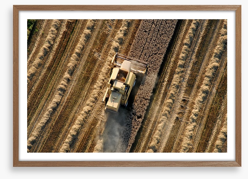 Agriculture