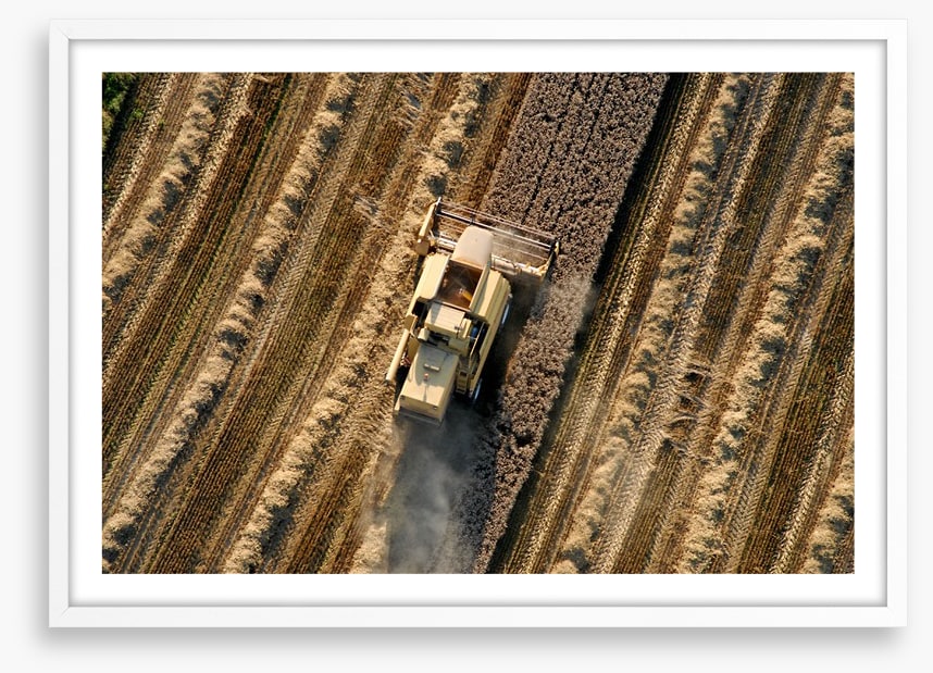 Agriculture