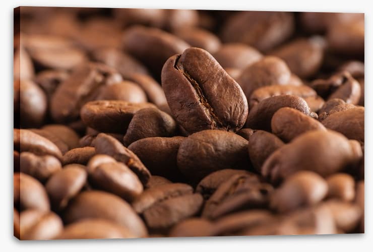 For the love of coffee