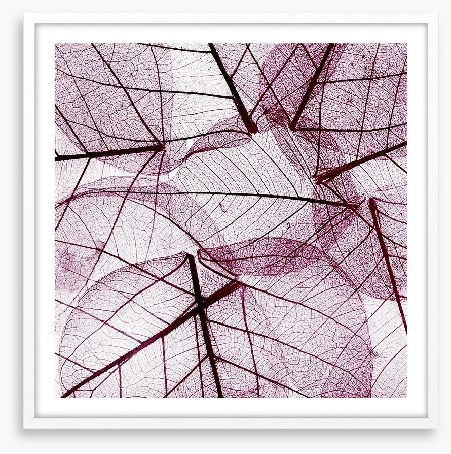 Fallen leaves