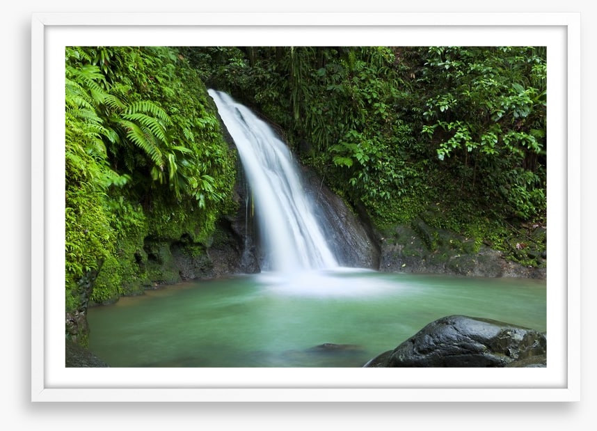 Rainforest cascades
