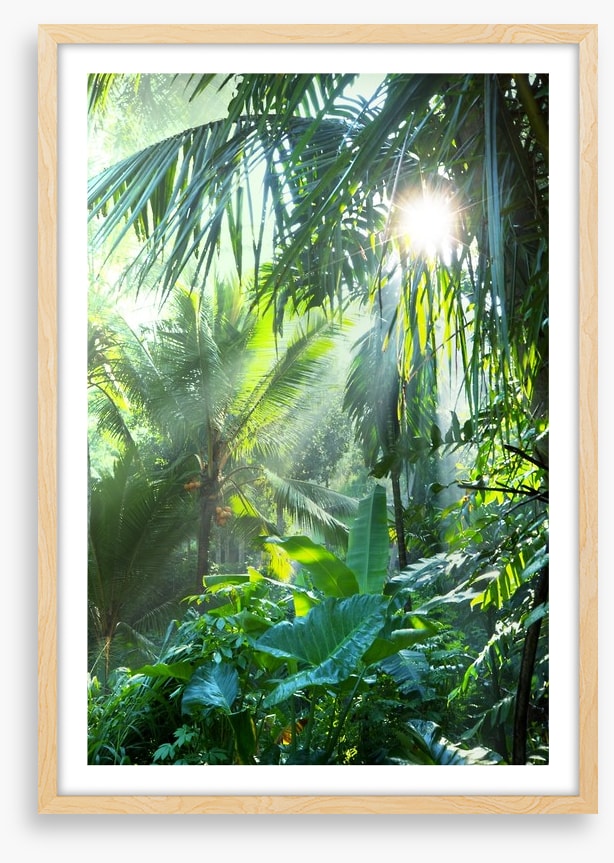 Deep in the jungle