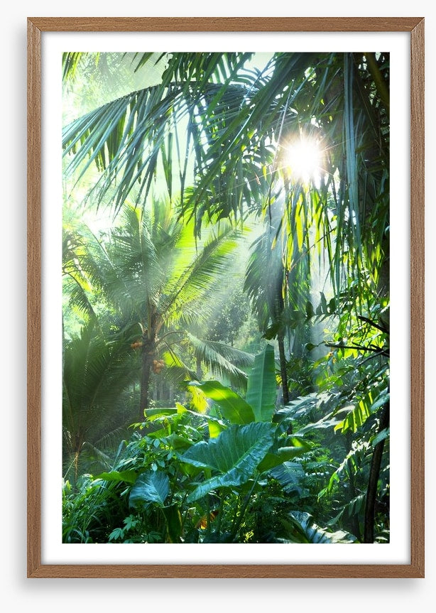 Deep in the jungle