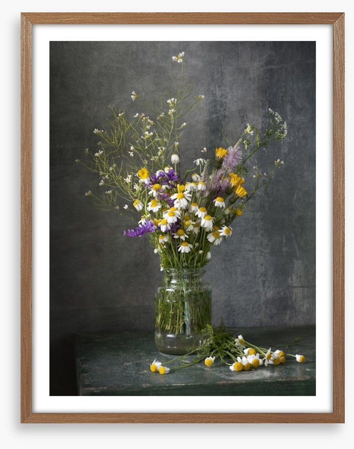 Delicate daisies