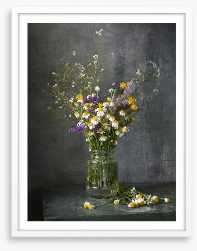 Delicate daisies