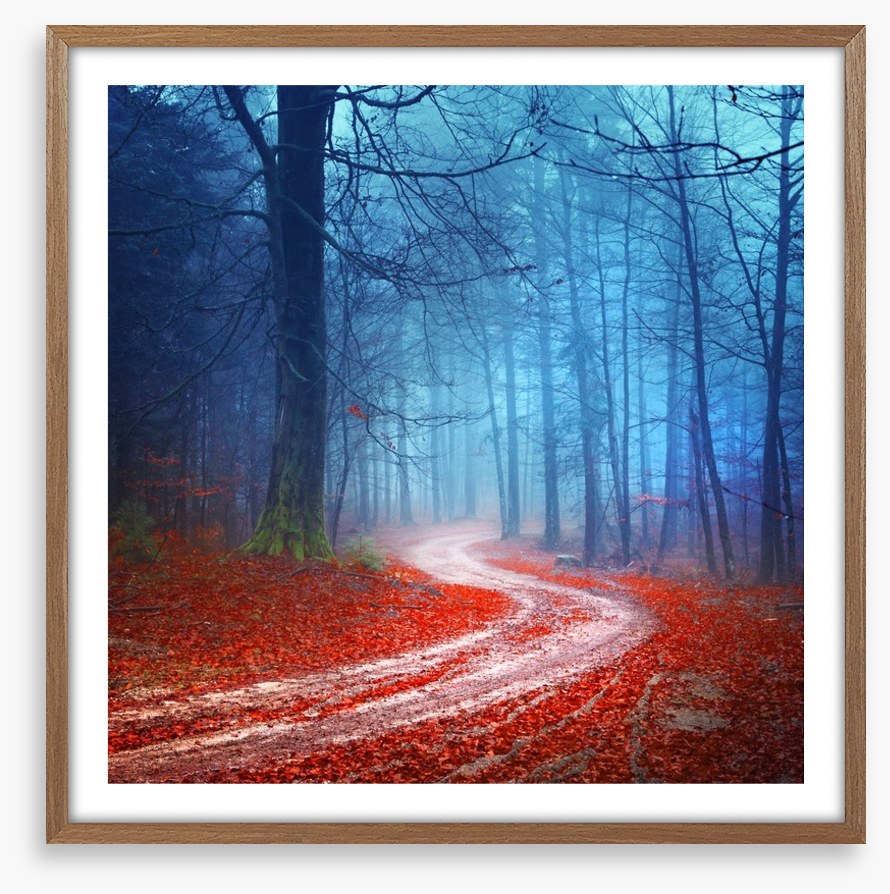 Magical forest road