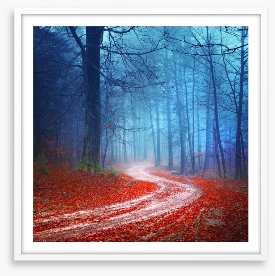 Magical forest road