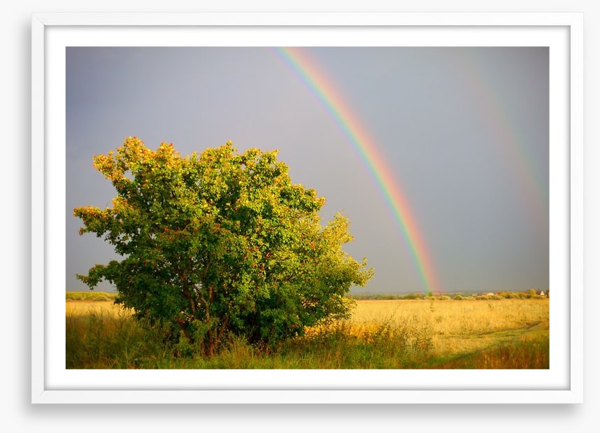 Rainbows