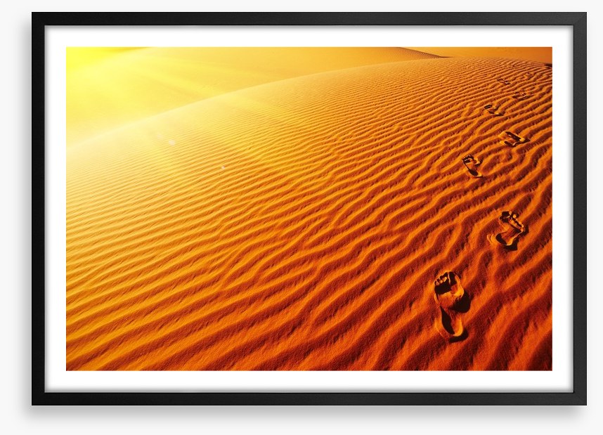 Desert