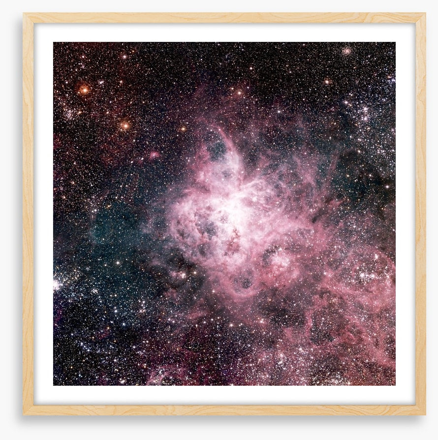 The tarantula nebula