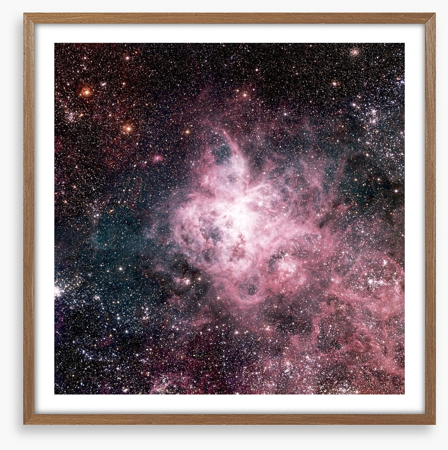 The tarantula nebula