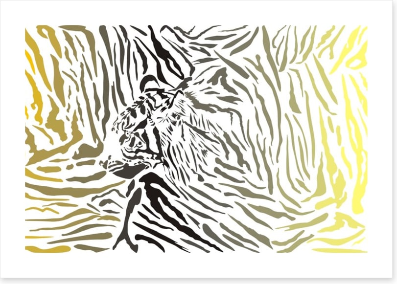Tiger camouflage