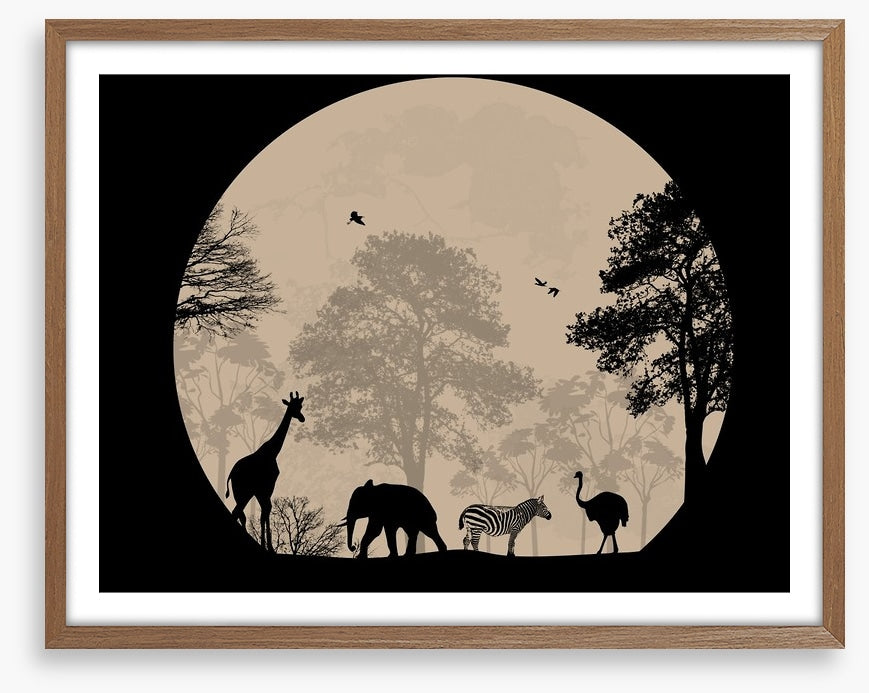 Moonlight safari